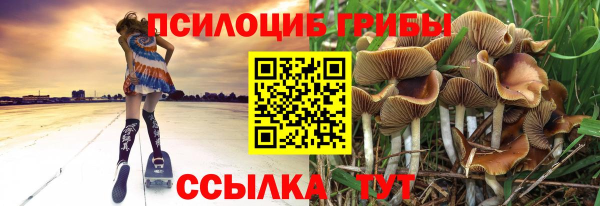 Псилоцибиновые грибы прущие грибы Каменск-Шахтинский
